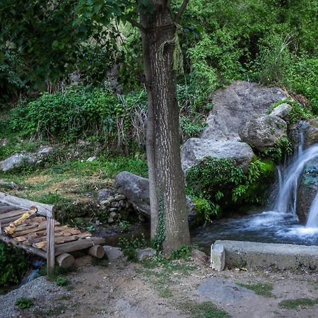 Babutaal Resort Chakrata Buitenkant foto