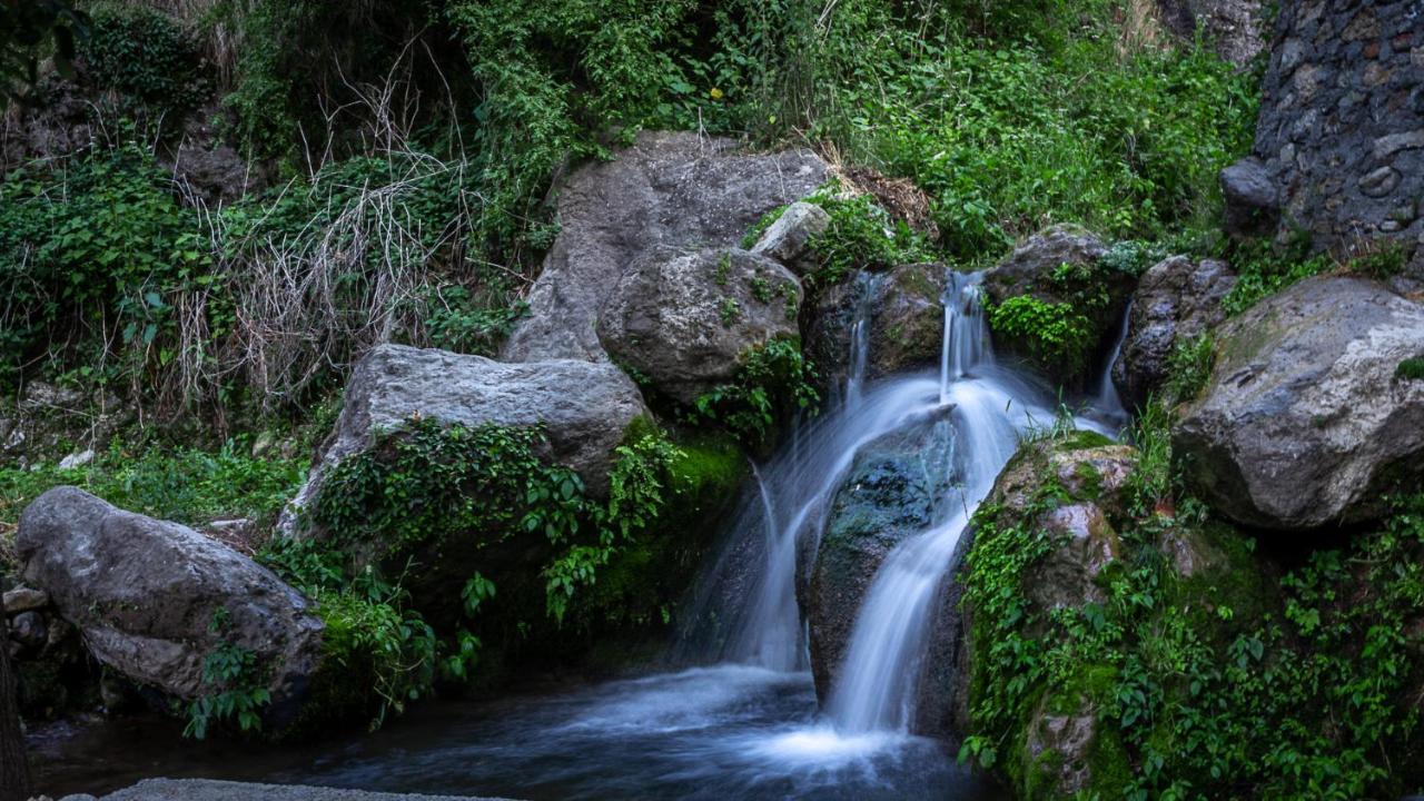 Babutaal Resort Chakrata Buitenkant foto