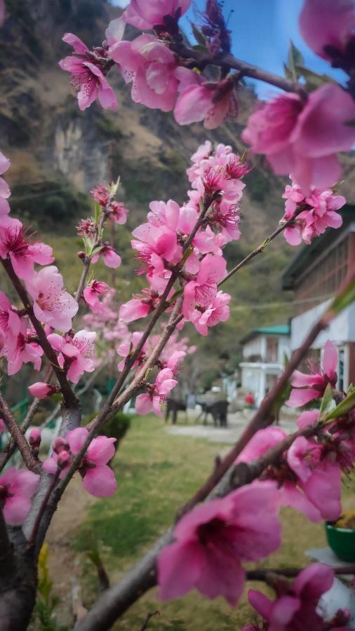 Babutaal Resort Chakrata Buitenkant foto